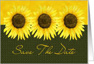 Sunflower Save The Date Card