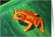 Golden Frog card