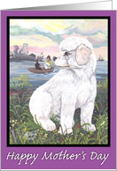 Bichon Frise Puppy Dreamer Mother’s Day card