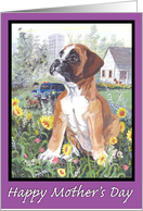Boxer Puppy Dreamer Mother’s Day card