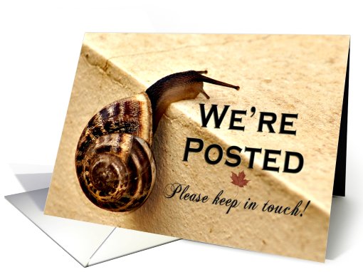 We're Posted card (259353)