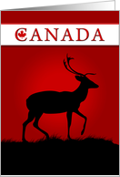 Canada card