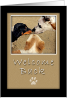 Welcome Back card