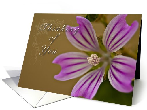 Thinking of you card (552435)