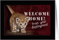Welcome Home from your Deployment, Kitten card
