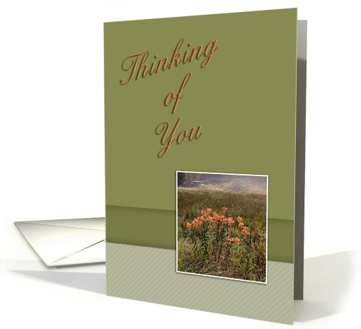 Thinking of You, Flowers in Field card (616150)