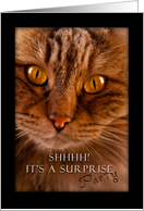 Shhhh! It’s a Surprise Party, cat card