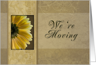 We’re Moving, Yellow Daisy card