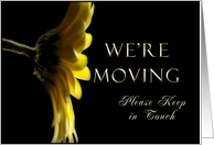 We’re Moving, Please Keep in Touch, Yellow Daisy card