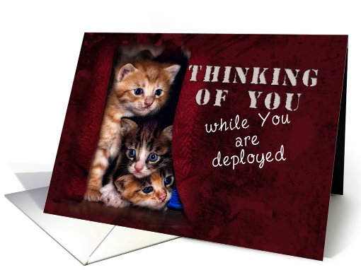 Thinking of You While You Are Deployed, Kittens card (624318)