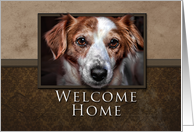 Welcome Home, Dog with Brown Background card