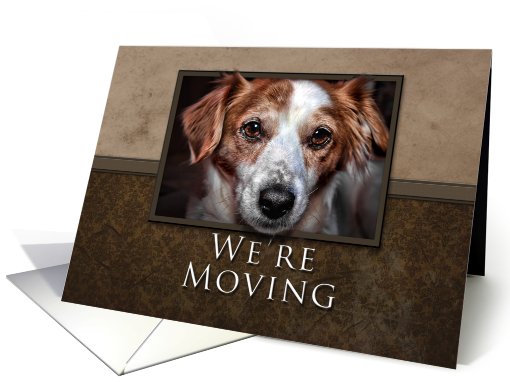 We're Moving, Dog with Brown Background card (626031)