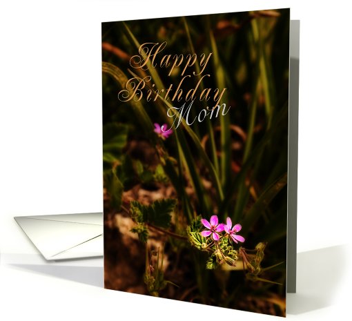 Happy Birthday Mom, Small Pink Flowers card (626651)