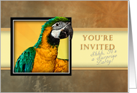 You’re Invited - Surprise Party, Parrot card