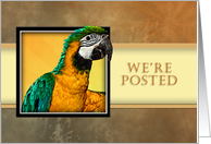 We’re Posted, Parrot card