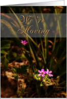We’re Moving, Pink Flowers card
