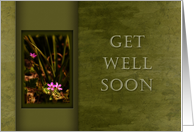 Get Well Soon, Pink Flowers with Green Background card