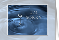 I’m Sorry, Water Drop card