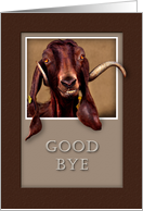 Good Bye, Goat in Window card