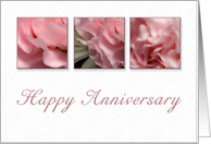 Happy Anniversary, Pink Flower on White Background card