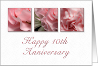 Happy 10th Anniversary, Pink Flower on White Background card