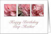 Happy Birthday Step Mother, Pink Flower on White Background card