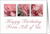 Happy Birthday From All of Us, Pink Flower on White Background card