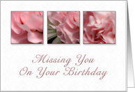 Missing You On Your Birthday, Pink Flower on White Background card