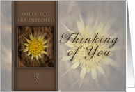 Thinking of You While You Are Deployed, Yellow Flower on Brown Background card