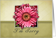 I’m Sorry - Pink Flower on Green and Tan Background card