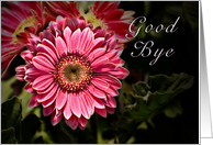 Good Bye - Pink Flower card