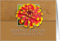 Missing You on Thanksgiving, Flower with Tan Background card