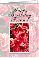 Friend Happy Birthday, Pink Flowers card