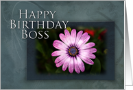 Boss Happy Birthday, Pink Flower with Blue and Green Background card