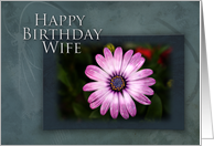 Wife Happy Birthday, Pink Flower with Blue and Green Background card