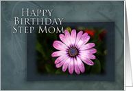 Step Mom Happy Birthday, Pink Flower with Blue and Green Background card