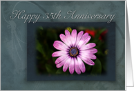 Happy 35th Anniversary, Pink Flower with Blue and Green Background card