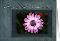Happy 50th Anniversary, Pink Flower with Blue and Green Background card