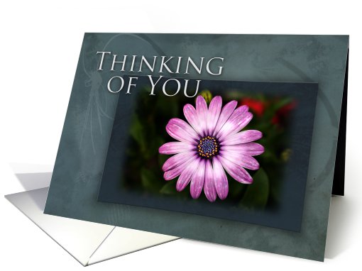 Thinking of You, Pink Flower on Green and Blue Background card