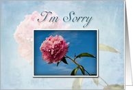 I’m Sorry Pink Flower and Blue Sky card