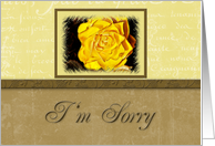 I’m Sorry Yellow Flower and Yellow and Tan Background card
