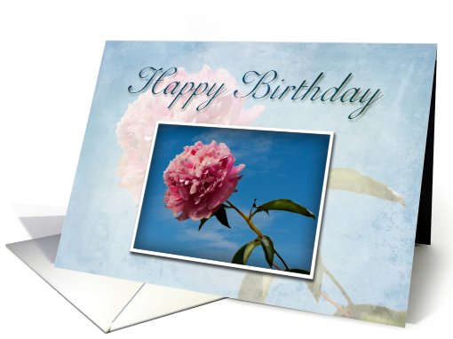 Happy Birthday, Pink Flower with Blue Sky card (644131)