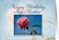 Step Mother Happy Birthday, Pink Flower with Blue Sky card