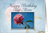 Step Mom Happy Birthday, Pink Flower with Blue Sky card