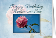 Mother-in-Law Happy Birthday, Pink Flower with Blue Sky card