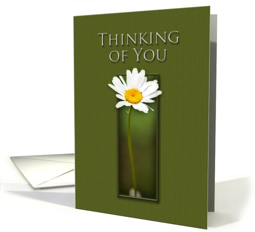 Thinking of You, White Daisy on Green Background card (646018)