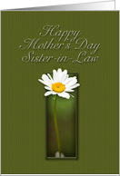Sister-in-Law Happy Mother`s Day, White Daisy on Green Background card