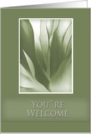 You’re Welcome, Green Abstract on Green Background card