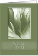 We’re Moving, Green Abstract on Green Background card