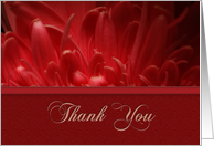 Thank You, Flower Petals card